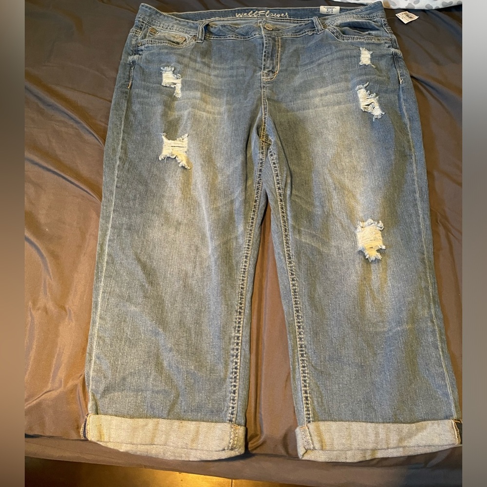 Wallflower capris
